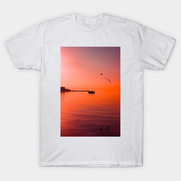 Beautiful summer sunset on Trieste's harbour in northern Italy T-Shirt by chiaravisuals